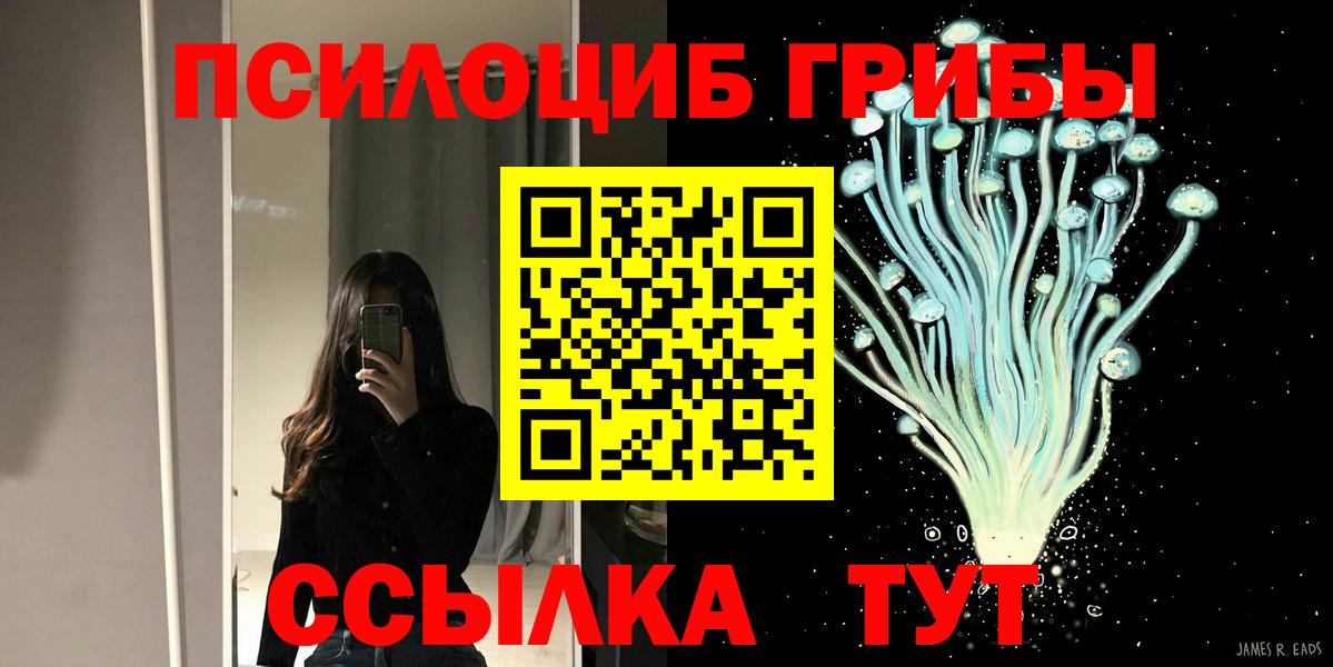 Псилоцибиновые грибы Psilocybe  Псилоцибиновые грибы мицелий  Вход с VPN  Аша 