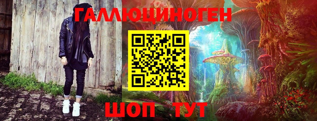 Псилоцибиновые грибы прущие грибы Аша